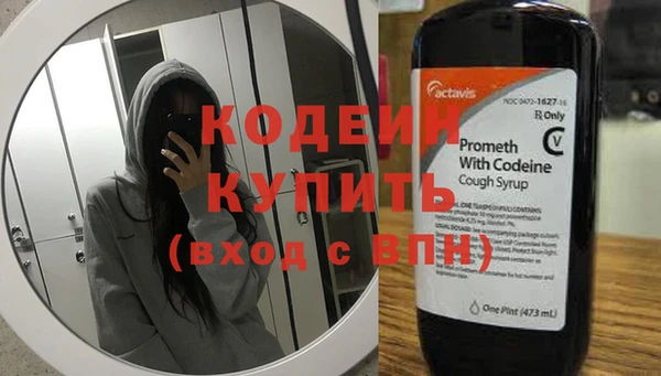 индика Россошь