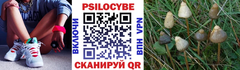 Купить где  Теберда  Галлюциногенные грибы мицелий 
